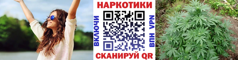 Где продают наркотики Кологрив ГАШИШ  Конопля  Псилоцибиновые грибы  Мефедрон  COCAIN 
