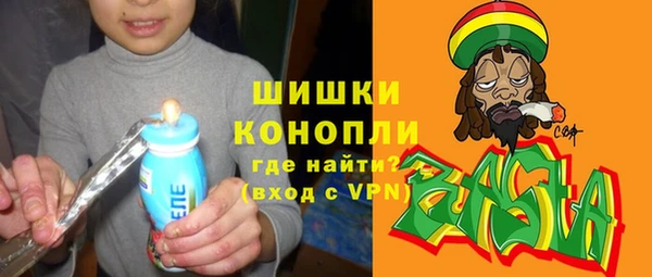 бошки Бронницы