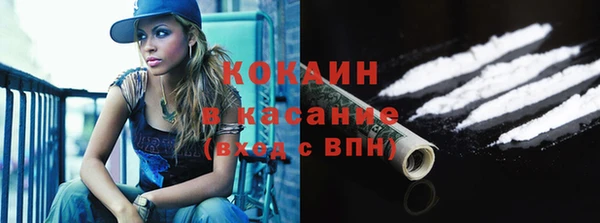 стафф Бородино