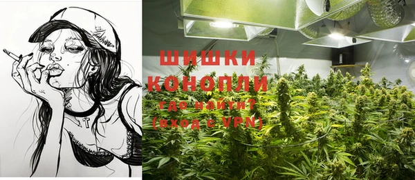 стафф Бородино