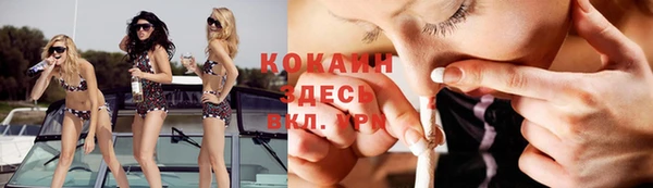 бошки Бронницы