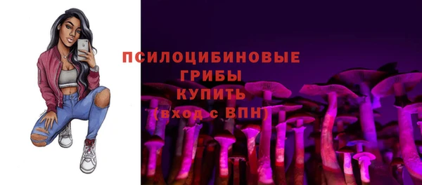 стафф Бородино
