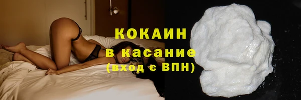 стафф Бородино