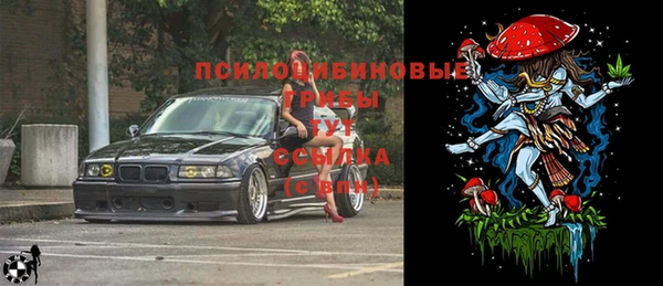 стафф Бородино