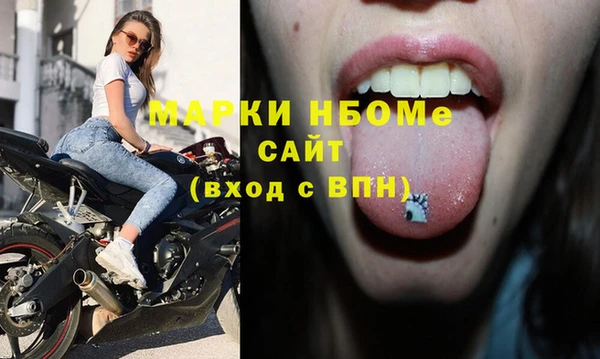 стафф Бородино