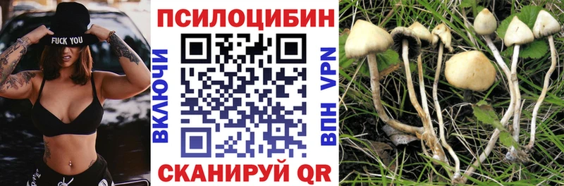 Галлюциногенные грибы Psilocybe  Кологрив 